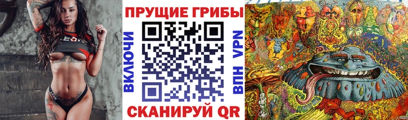 Галлюциногенные грибы ЛСД  kraken ссылки  Горячеводский  дарнет шоп 