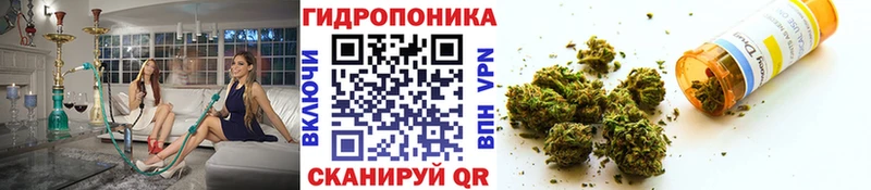 Бошки Шишки марихуана  Горячеводский 